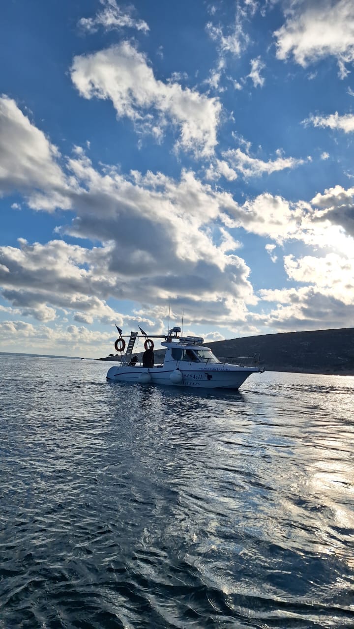 Maria -Niki, boat for rent in Athens